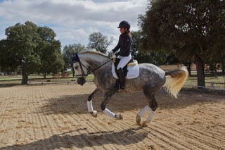 Caballo en Venta